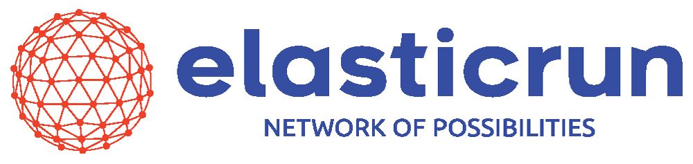 ElasticRun (NTEX TRANSPORTATION SERVICES PRIVATE LIMITED)