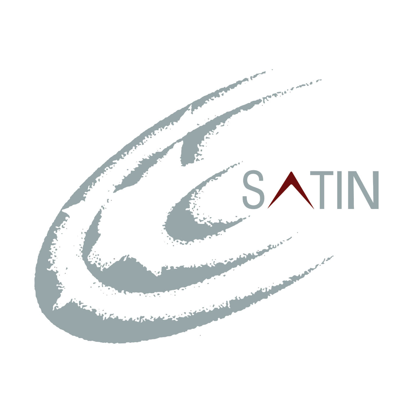SATIN CREDITCARE NETWORK LTD