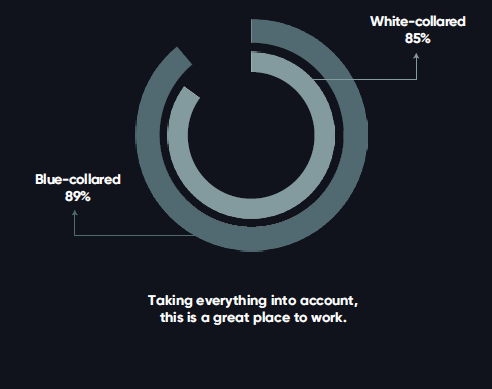 Perceptions in Blue-Collar and White-Collar Roles