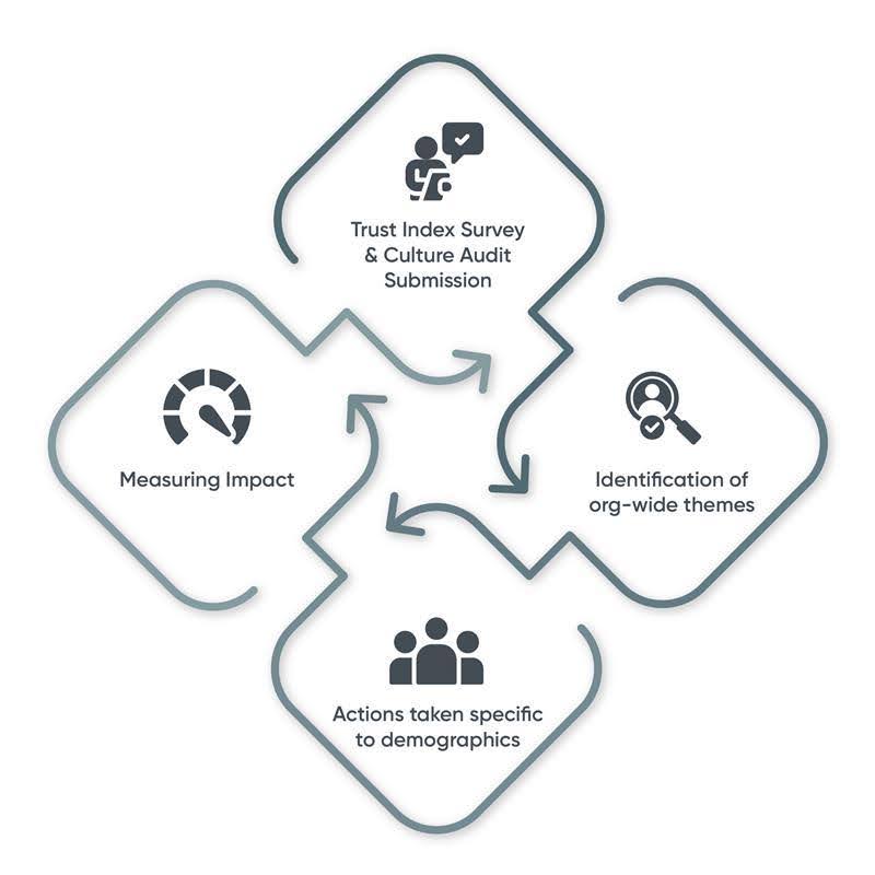 Culture Assessment and More​ image
