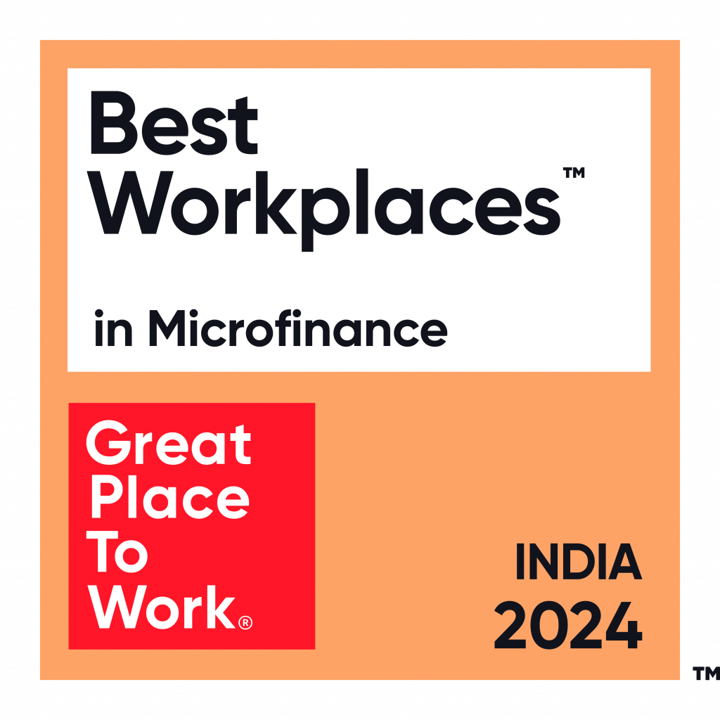 Microfinance-2024